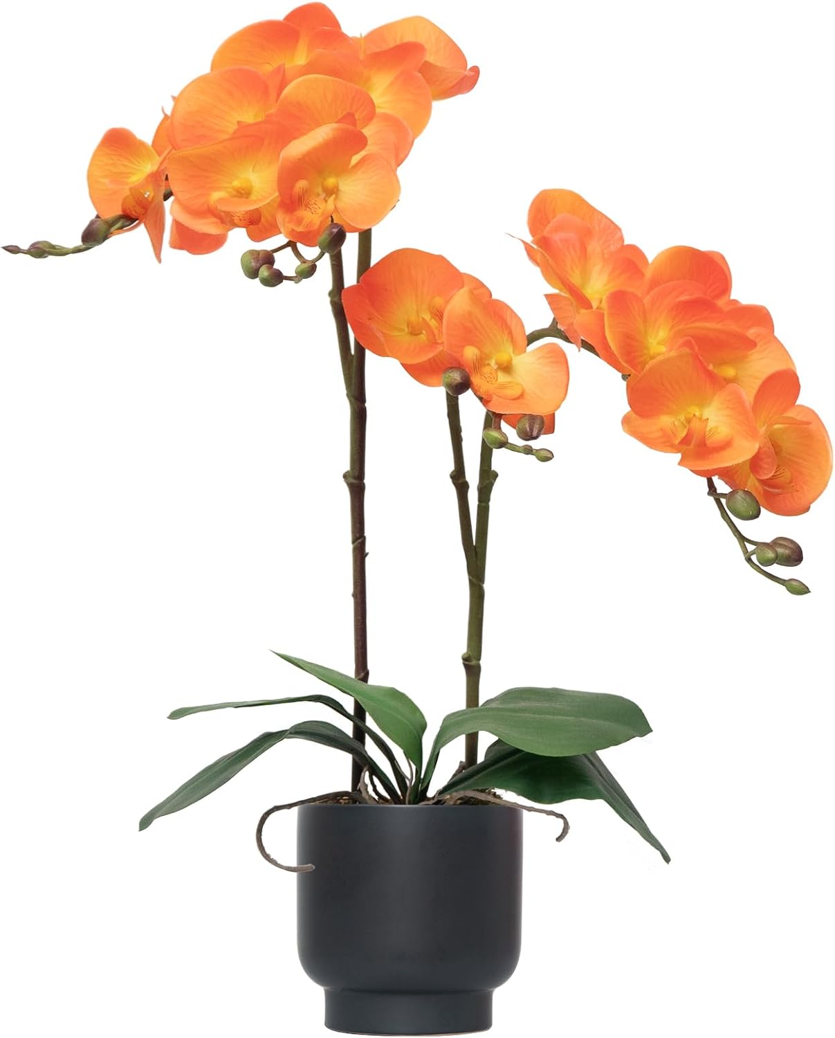 Orchids Artificial Flowers Real Touch Fake Flowers in Ceramic Pot 20" White Faux Orchid Plant Lifelike Silk Phalaenopsis for Centerpiece Hotel Home Indoor Decor