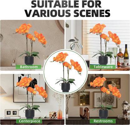 Orchids Artificial Flowers Real Touch Fake Flowers in Ceramic Pot 20" White Faux Orchid Plant Lifelike Silk Phalaenopsis for Centerpiece Hotel Home Indoor Decor