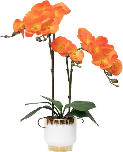 Orchids Artificial Flowers Real Touch Fake Flowers in Ceramic Pot 20" White Faux Orchid Plant Lifelike Silk Phalaenopsis for Centerpiece Hotel Home Indoor Decor