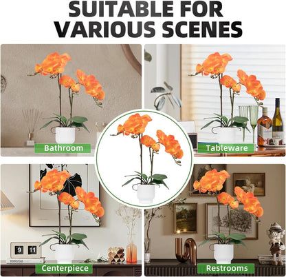Orchids Artificial Flowers Real Touch Fake Flowers in Ceramic Pot 20" White Faux Orchid Plant Lifelike Silk Phalaenopsis for Centerpiece Hotel Home Indoor Decor