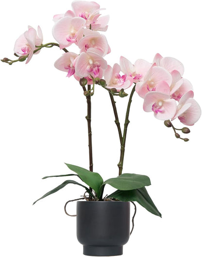 Orchids Artificial Flowers Real Touch Fake Flowers in Ceramic Pot 20" White Faux Orchid Plant Lifelike Silk Phalaenopsis for Centerpiece Hotel Home Indoor Decor