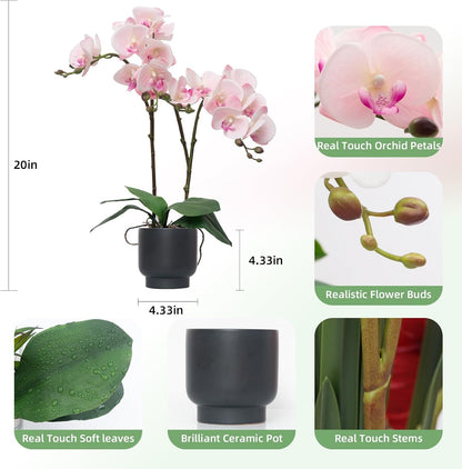 Orchids Artificial Flowers Real Touch Fake Flowers in Ceramic Pot 20" White Faux Orchid Plant Lifelike Silk Phalaenopsis for Centerpiece Hotel Home Indoor Decor