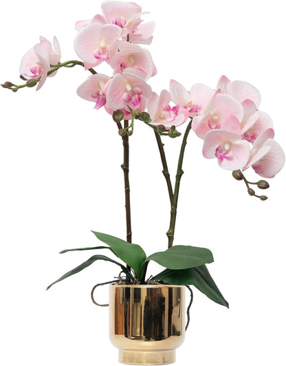 Orchids Artificial Flowers Real Touch Fake Flowers in Ceramic Pot 20" White Faux Orchid Plant Lifelike Silk Phalaenopsis for Centerpiece Hotel Home Indoor Decor