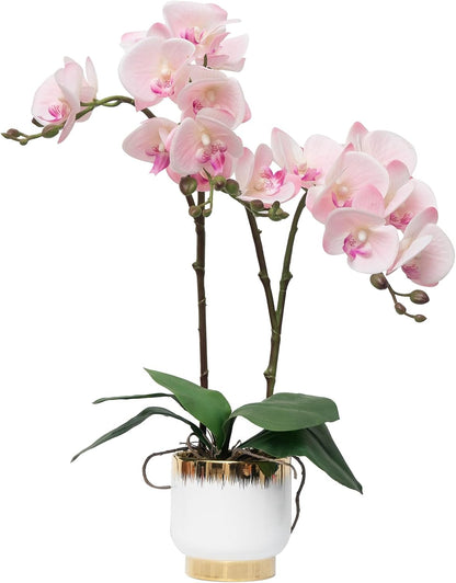 Orchids Artificial Flowers Real Touch Fake Flowers in Ceramic Pot 20" White Faux Orchid Plant Lifelike Silk Phalaenopsis for Centerpiece Hotel Home Indoor Decor