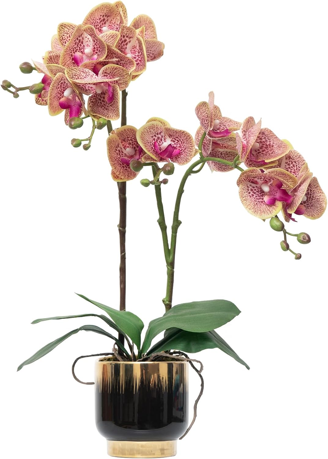 Orchids Artificial Flowers Real Touch Fake Flowers in Ceramic Pot 20" White Faux Orchid Plant Lifelike Silk Phalaenopsis for Centerpiece Hotel Home Indoor Decor