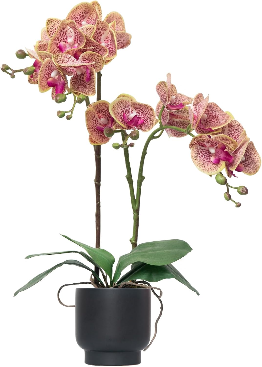 Orchids Artificial Flowers Real Touch Fake Flowers in Ceramic Pot 20" White Faux Orchid Plant Lifelike Silk Phalaenopsis for Centerpiece Hotel Home Indoor Decor