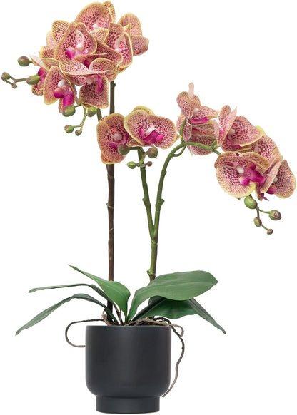 Orchids Artificial Flowers Real Touch Fake Flowers in Ceramic Pot 20" White Faux Orchid Plant Lifelike Silk Phalaenopsis for Centerpiece Hotel Home Indoor Decor