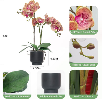 Orchids Artificial Flowers Real Touch Fake Flowers in Ceramic Pot 20" White Faux Orchid Plant Lifelike Silk Phalaenopsis for Centerpiece Hotel Home Indoor Decor
