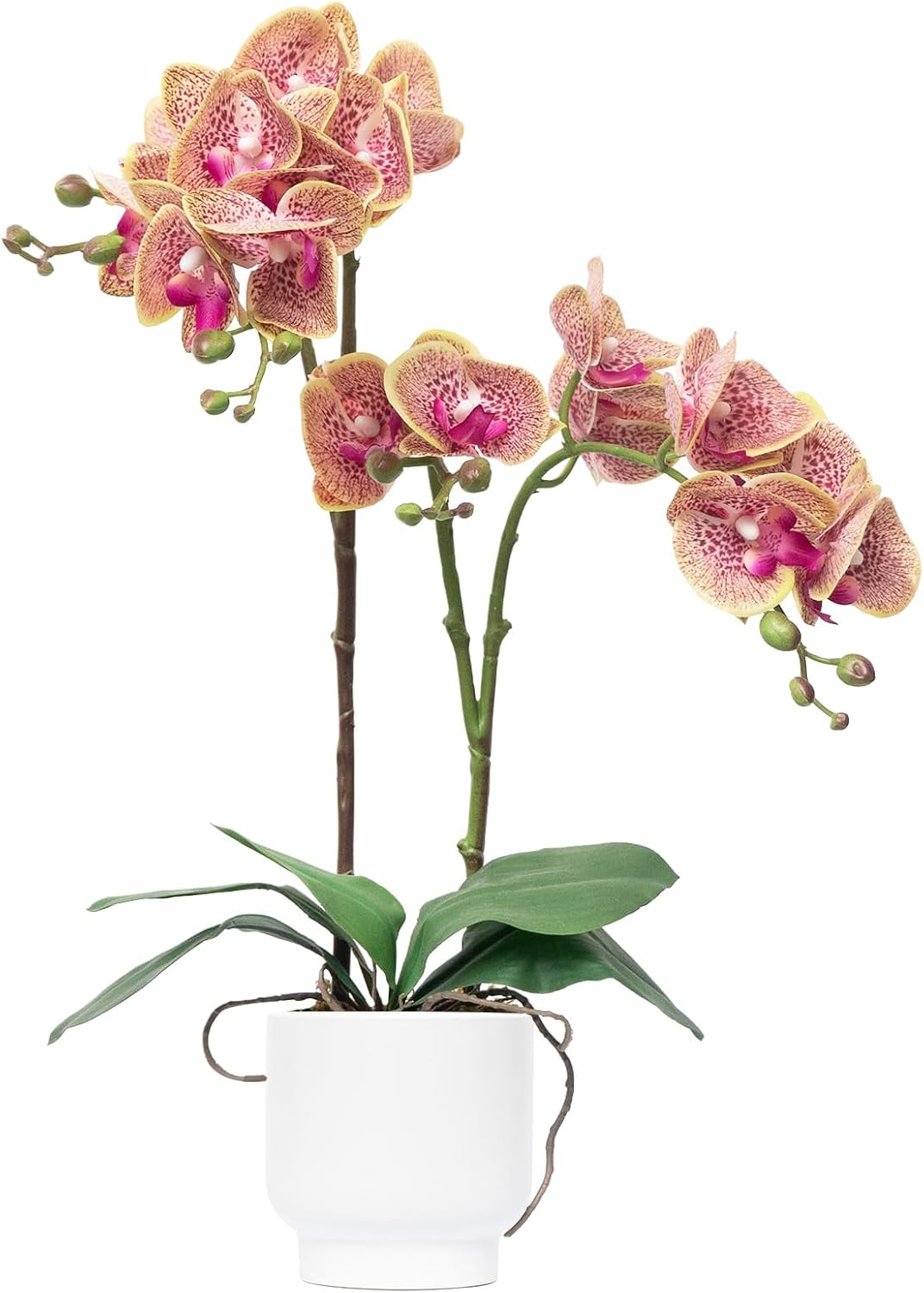 Orchids Artificial Flowers Real Touch Fake Flowers in Ceramic Pot 20" White Faux Orchid Plant Lifelike Silk Phalaenopsis for Centerpiece Hotel Home Indoor Decor