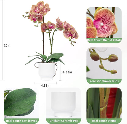Orchids Artificial Flowers Real Touch Fake Flowers in Ceramic Pot 20" White Faux Orchid Plant Lifelike Silk Phalaenopsis for Centerpiece Hotel Home Indoor Decor