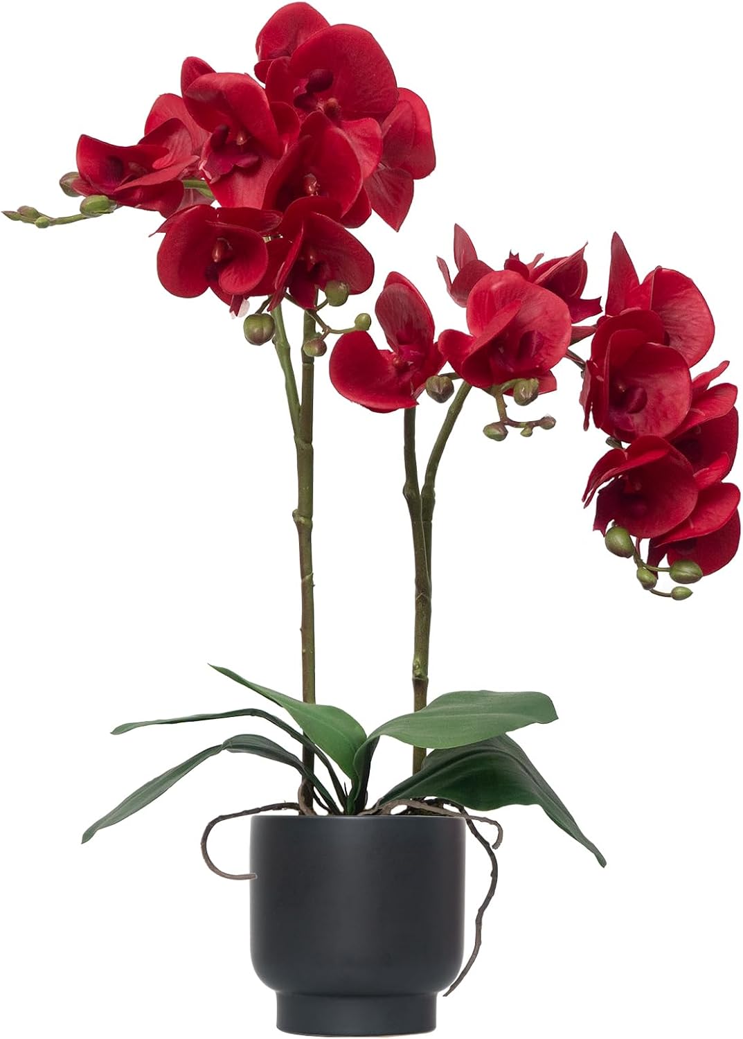 Orchids Artificial Flowers Real Touch Fake Flowers in Ceramic Pot 20" White Faux Orchid Plant Lifelike Silk Phalaenopsis for Centerpiece Hotel Home Indoor Decor