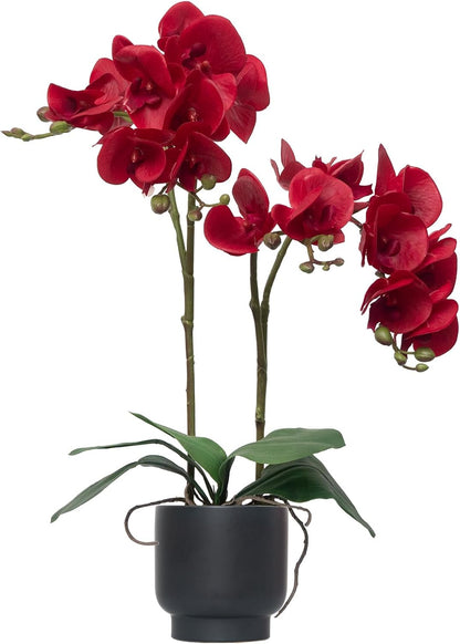 Orchids Artificial Flowers Real Touch Fake Flowers in Ceramic Pot 20" White Faux Orchid Plant Lifelike Silk Phalaenopsis for Centerpiece Hotel Home Indoor Decor