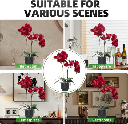 Orchids Artificial Flowers Real Touch Fake Flowers in Ceramic Pot 20" White Faux Orchid Plant Lifelike Silk Phalaenopsis for Centerpiece Hotel Home Indoor Decor