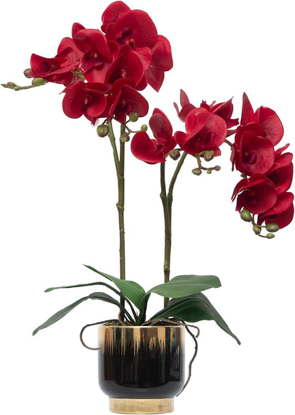 Orchids Artificial Flowers Real Touch Fake Flowers in Ceramic Pot 20" White Faux Orchid Plant Lifelike Silk Phalaenopsis for Centerpiece Hotel Home Indoor Decor