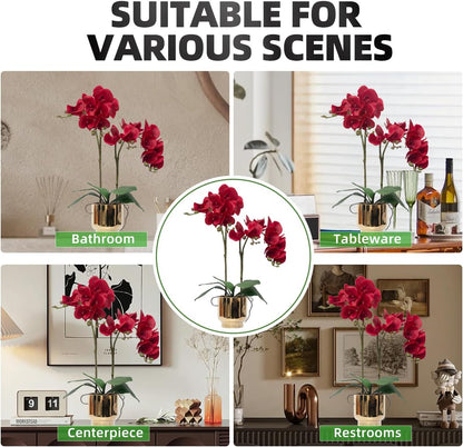 Orchids Artificial Flowers Real Touch Fake Flowers in Ceramic Pot 20" White Faux Orchid Plant Lifelike Silk Phalaenopsis for Centerpiece Hotel Home Indoor Decor