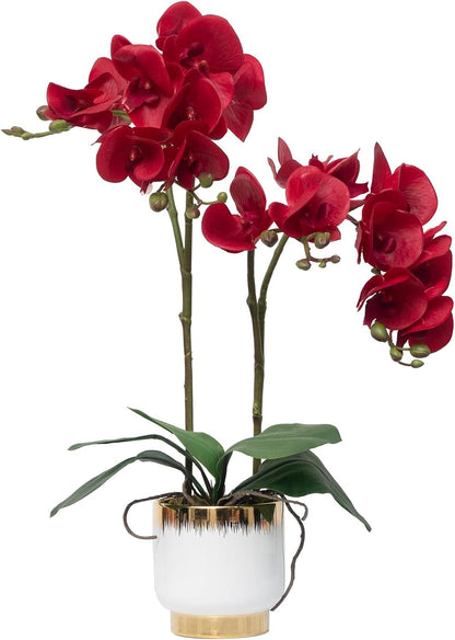 Orchids Artificial Flowers Real Touch Fake Flowers in Ceramic Pot 20" White Faux Orchid Plant Lifelike Silk Phalaenopsis for Centerpiece Hotel Home Indoor Decor