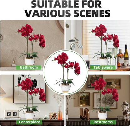 Orchids Artificial Flowers Real Touch Fake Flowers in Ceramic Pot 20" White Faux Orchid Plant Lifelike Silk Phalaenopsis for Centerpiece Hotel Home Indoor Decor