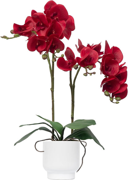 Orchids Artificial Flowers Real Touch Fake Flowers in Ceramic Pot 20" White Faux Orchid Plant Lifelike Silk Phalaenopsis for Centerpiece Hotel Home Indoor Decor