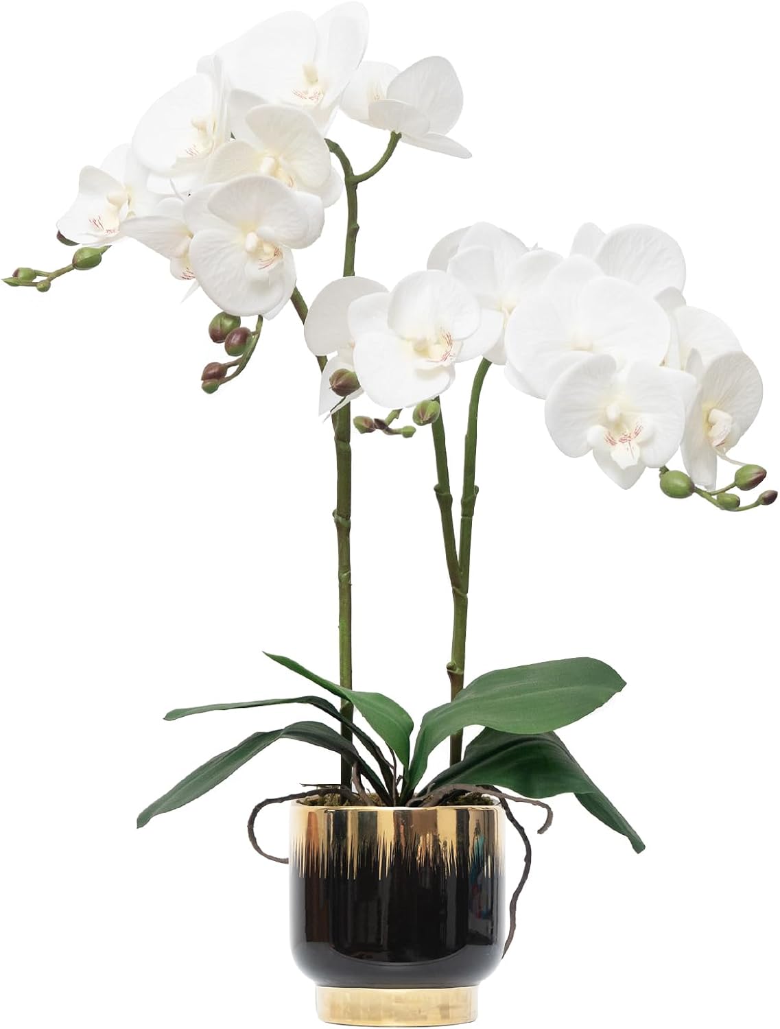 Orchids Artificial Flowers Real Touch Fake Flowers in Ceramic Pot 20" White Faux Orchid Plant Lifelike Silk Phalaenopsis for Centerpiece Hotel Home Indoor Decor