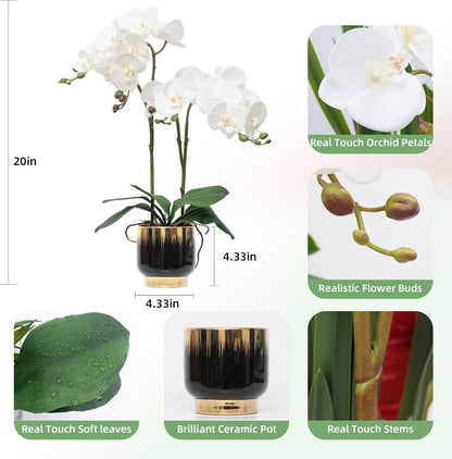 Orchids Artificial Flowers Real Touch Fake Flowers in Ceramic Pot 20" White Faux Orchid Plant Lifelike Silk Phalaenopsis for Centerpiece Hotel Home Indoor Decor