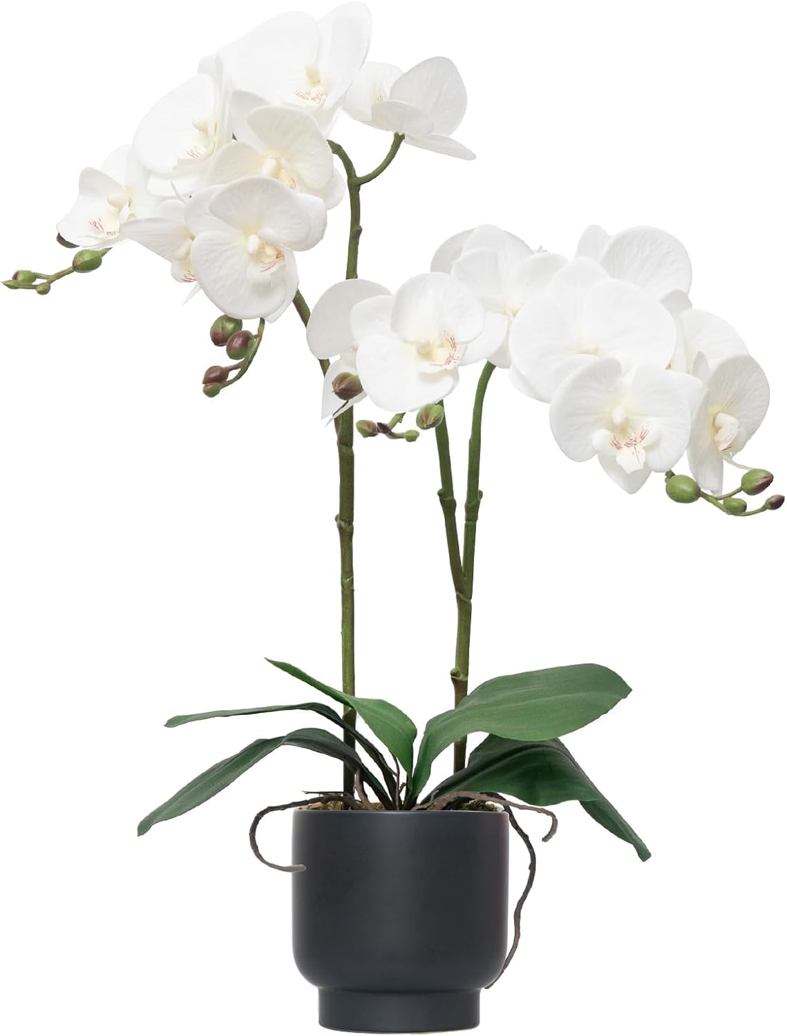 Orchids Artificial Flowers Real Touch Fake Flowers in Ceramic Pot 20" White Faux Orchid Plant Lifelike Silk Phalaenopsis for Centerpiece Hotel Home Indoor Decor