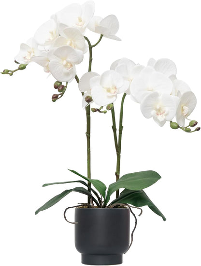 Orchids Artificial Flowers Real Touch Fake Flowers in Ceramic Pot 20" White Faux Orchid Plant Lifelike Silk Phalaenopsis for Centerpiece Hotel Home Indoor Decor