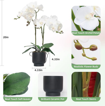 Orchids Artificial Flowers Real Touch Fake Flowers in Ceramic Pot 20" White Faux Orchid Plant Lifelike Silk Phalaenopsis for Centerpiece Hotel Home Indoor Decor