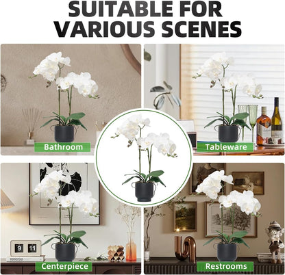 Orchids Artificial Flowers Real Touch Fake Flowers in Ceramic Pot 20" White Faux Orchid Plant Lifelike Silk Phalaenopsis for Centerpiece Hotel Home Indoor Decor