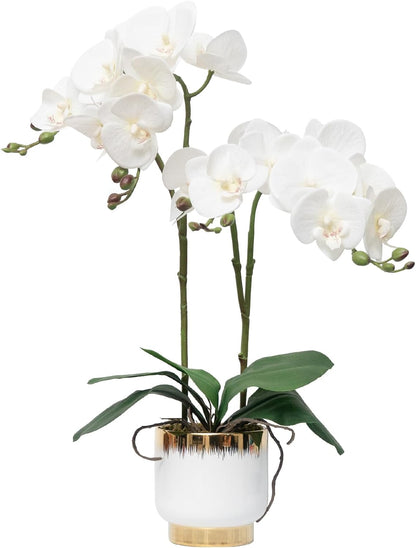 Orchids Artificial Flowers Real Touch Fake Flowers in Ceramic Pot 20" White Faux Orchid Plant Lifelike Silk Phalaenopsis for Centerpiece Hotel Home Indoor Decor
