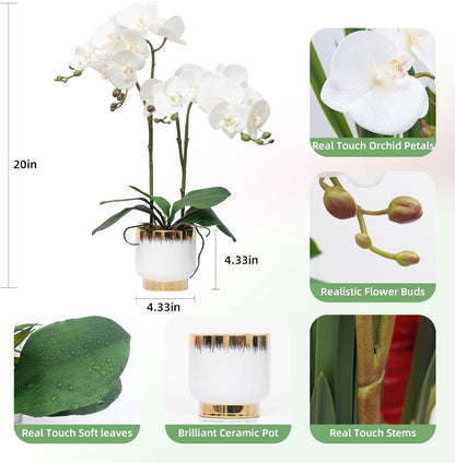 Orchids Artificial Flowers Real Touch Fake Flowers in Ceramic Pot 20" White Faux Orchid Plant Lifelike Silk Phalaenopsis for Centerpiece Hotel Home Indoor Decor