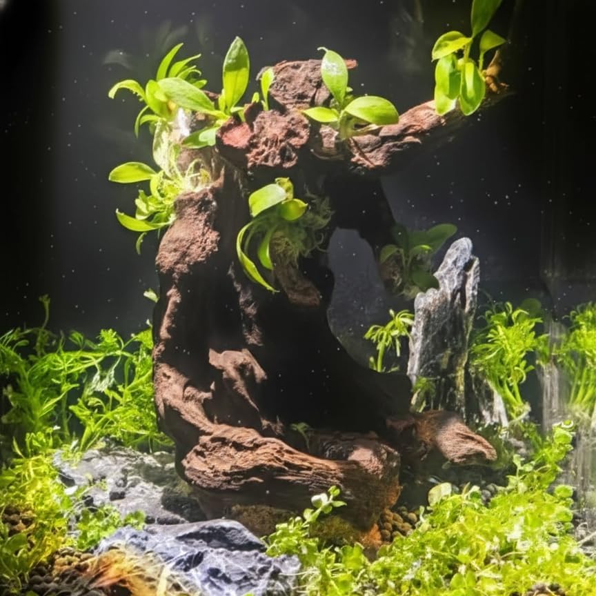 Driftwood Branches Reptiles Aquarium Decoration Assorted Size,(6-10 inch in Length),4 Pieces