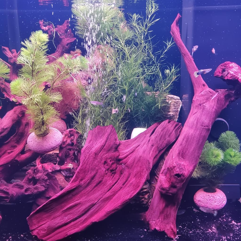 Driftwood Branches Reptiles Aquarium Decoration Assorted Size,(6-10 inch in Length),4 Pieces