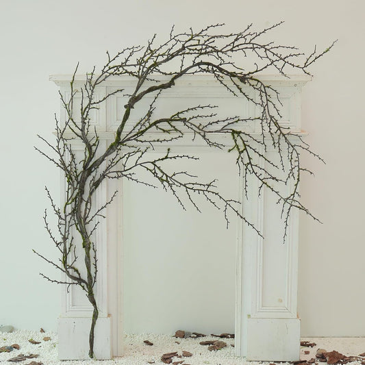 190cm/74.8inch Artificial Creepy Flexible Tree Branches Faux Grape Vines Garland Twigs with Moss Wood Craft for Halloween Door Wall Hanging Cottage Haunted Mansion Theme Outdoor Mantel Decoration (1)