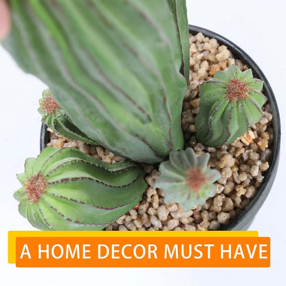 Artificial Cactus Fake Cacti 16" Faux Potted Cactus Plants for Home Store Office Decoration