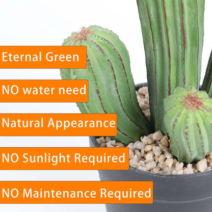 Artificial Cactus Fake Cacti 16" Faux Potted Cactus Plants for Home Store Office Decoration