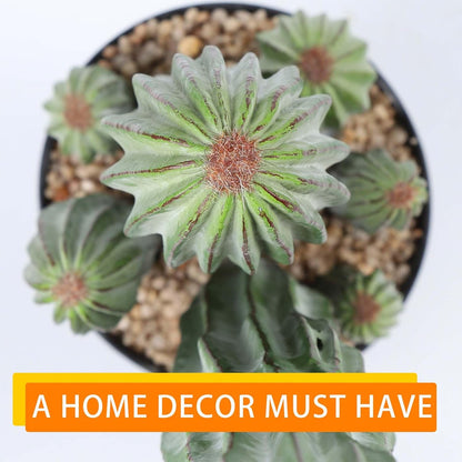 Artificial Cactus Fake Cacti 16" Faux Potted Cactus Plants for Home Store Office Decoration
