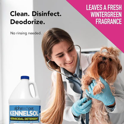 KennelSol Disinfectant & Cleaner for Kennels, 1 Gallon, 1 ct