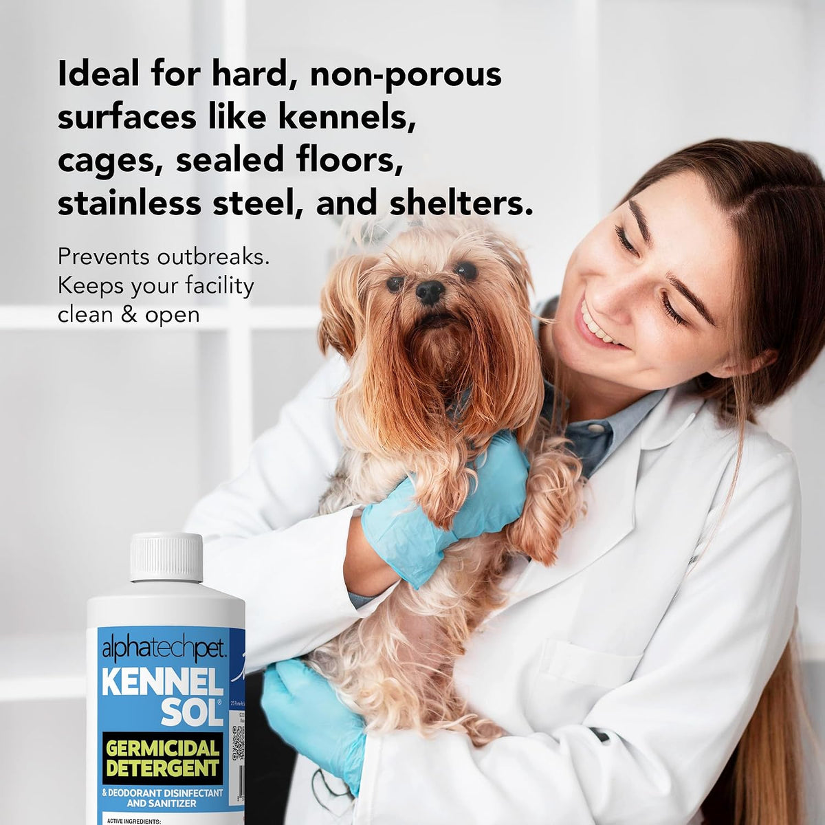 KennelSol Disinfectant & Cleaner for Kennels, 1 Gallon, 1 ct