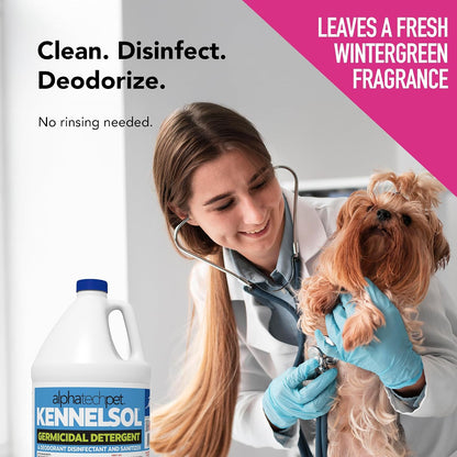 KennelSol Disinfectant & Cleaner for Kennels, 1 Gallon, 1 ct