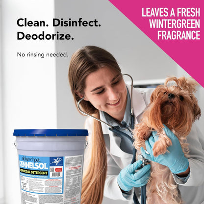 KennelSol Disinfectant & Cleaner for Kennels, 1 Gallon, 1 ct