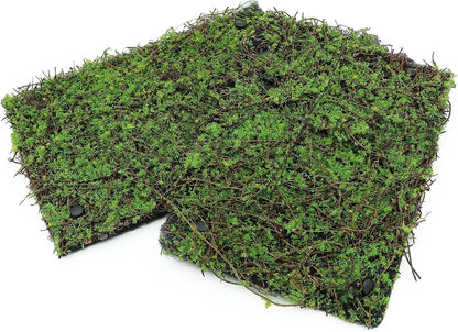 Terrarium Moss Background Backdrop Wall Reptile Cage Decoration