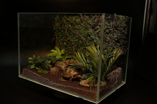 Terrarium Moss Background Backdrop Wall Reptile Cage Decoration