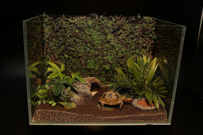 Terrarium Moss Background Backdrop Wall Reptile Cage Decoration