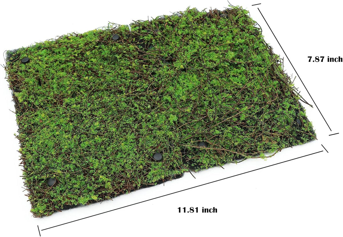 Terrarium Moss Background Backdrop Wall Reptile Cage Decoration