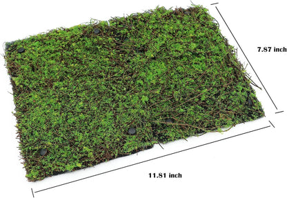 Terrarium Moss Background Backdrop Wall Reptile Cage Decoration