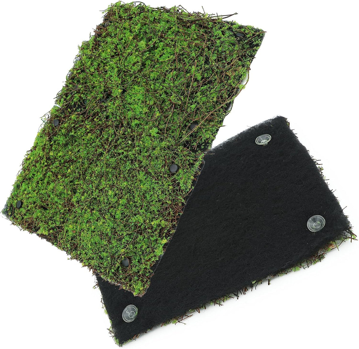 Terrarium Moss Background Backdrop Wall Reptile Cage Decoration