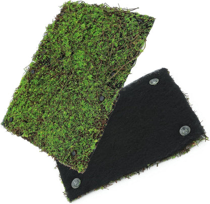 Terrarium Moss Background Backdrop Wall Reptile Cage Decoration