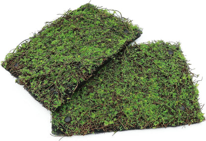 Terrarium Moss Background Backdrop Wall Reptile Cage Decoration