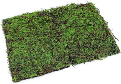 Terrarium Moss Background Backdrop Wall Reptile Cage Decoration