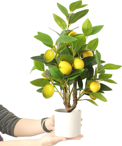 Artificial Potted Plant, 18“ Indoor Fake Lemon Tree Greenery with White Pot Faux Green Plants Lemon Citrus Branches Stems for Kitchen Office Living Room Table Desk Home Decor